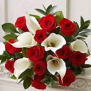 Meet your Posher, Elba